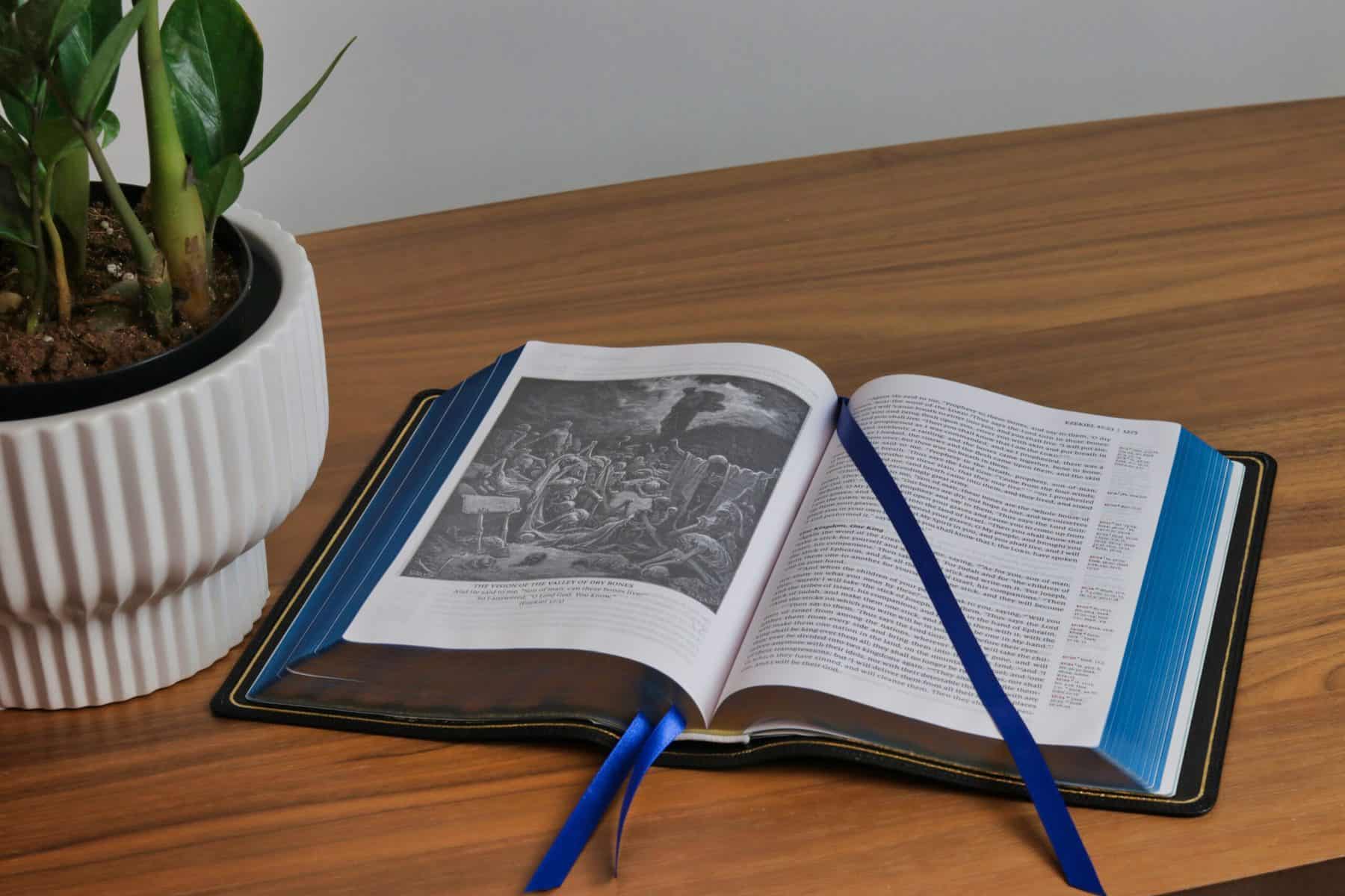 Mythology Books for Adults