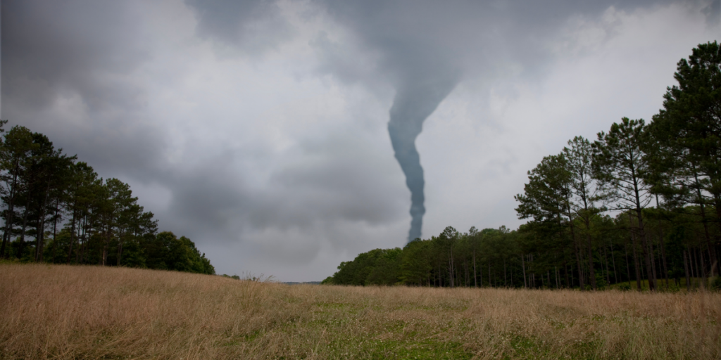Witnessing A White Tornado
