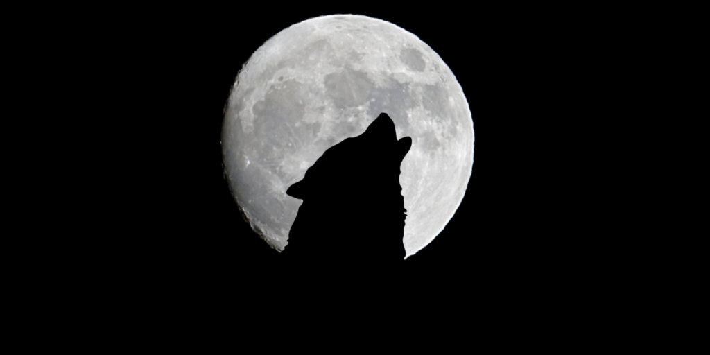 Argos The Faithful Hound – Greek Mythology