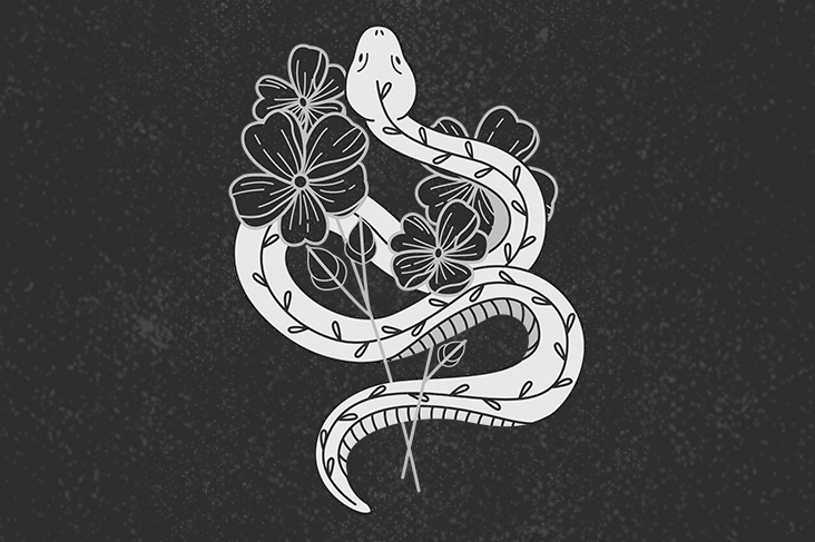 White Snake Dream Meaning and Interpretation - Dreams and Mythology