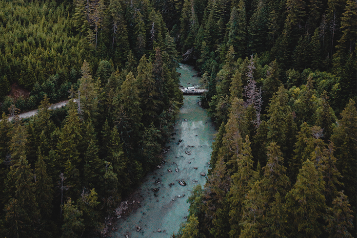 dream about river