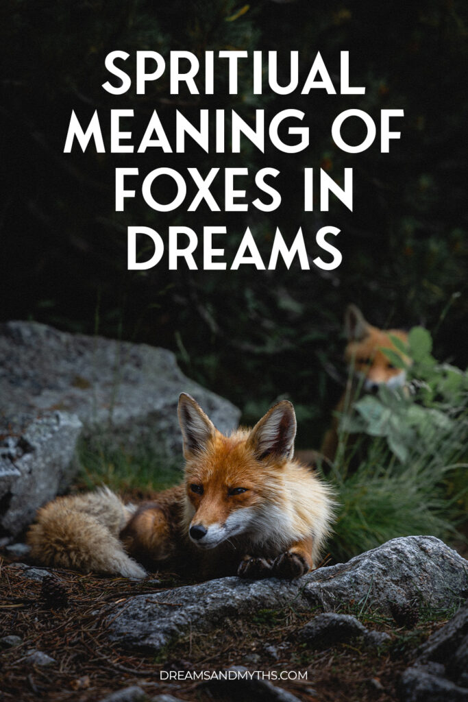 spiritual-meanings-of-fox-in-a-dream-dreams-and-mythology