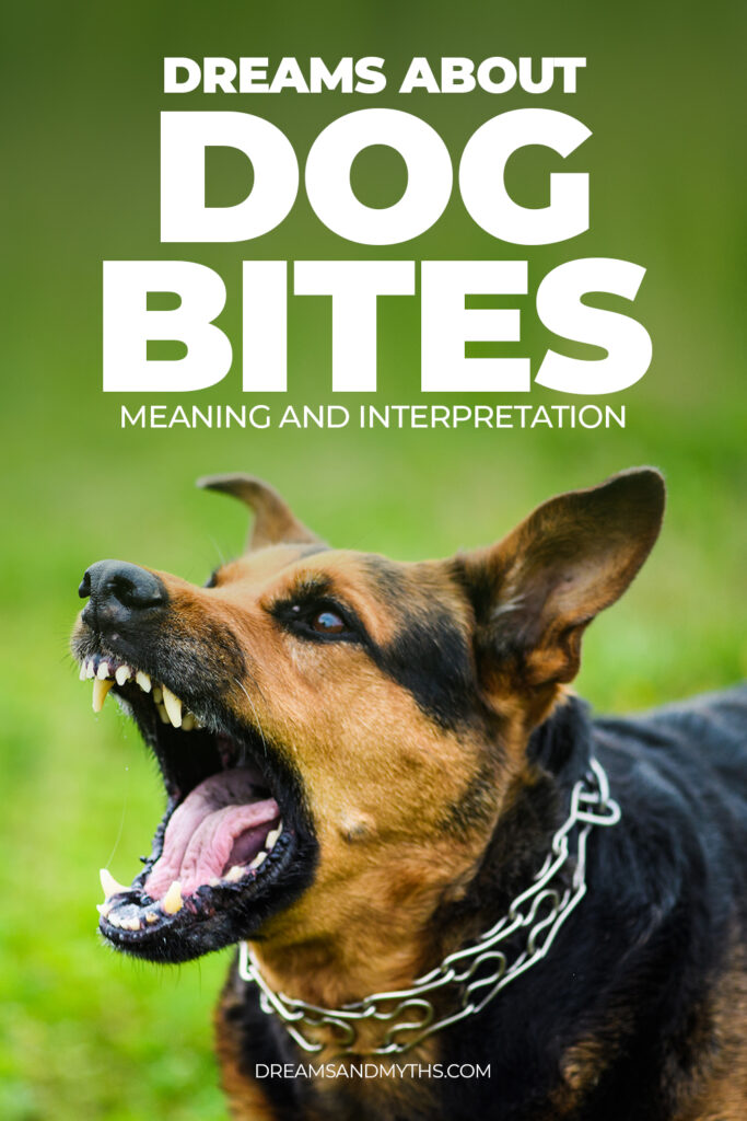 Dream About a Dog Biting: Meaning And Interpretations