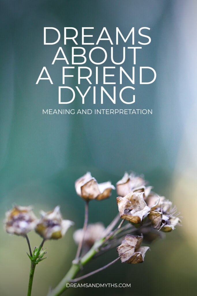 dream-about-a-friend-dying-meaning-and-interpretation