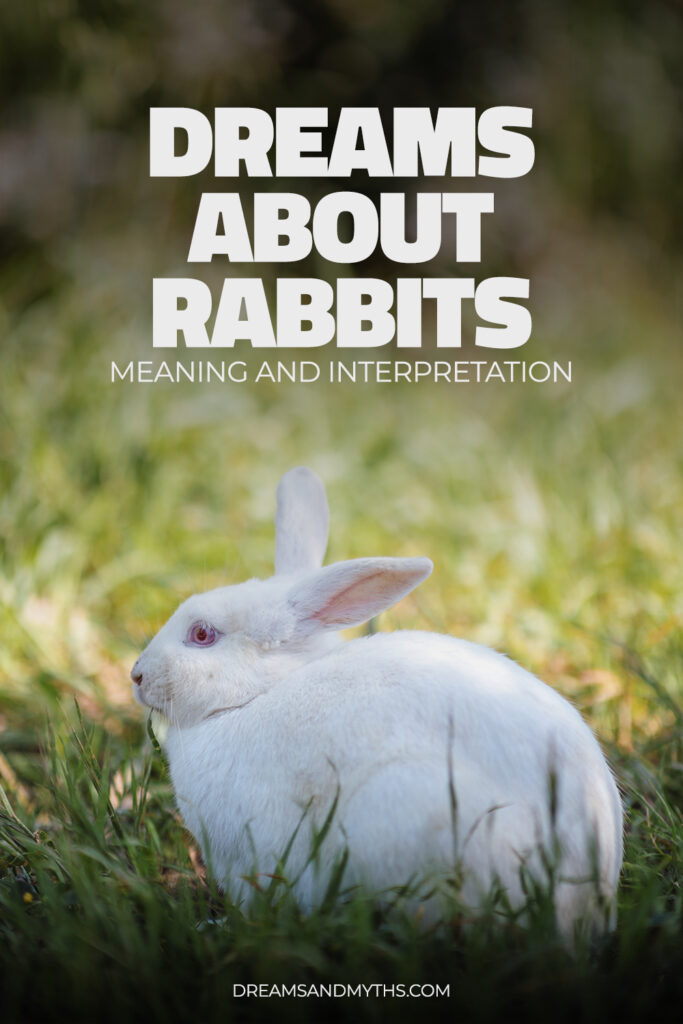 Dream About Rabbits Meaning And Interpretation Dreams and Mythology