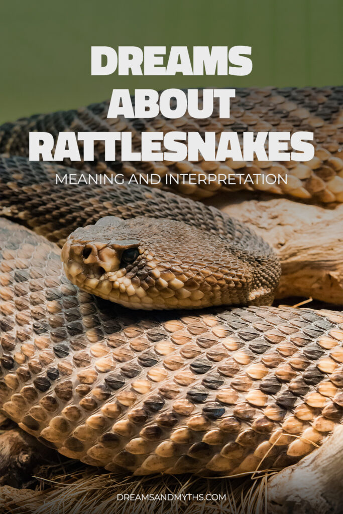 Dreaming About Rattlesnake: Meaning and Interpretation