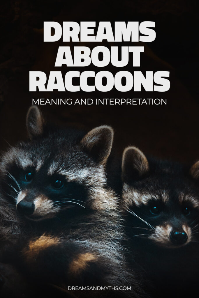 Dream About Raccoon: Meaning And Interpretation